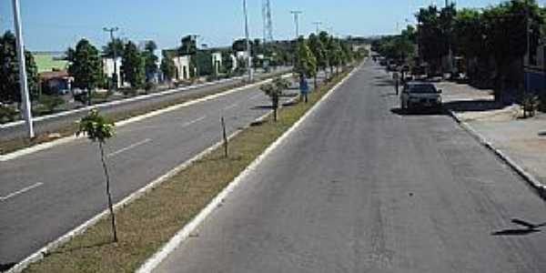 Pequizeiro-TO-Avenida Salgado Filho-Foto:Lenna Borges