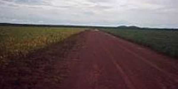 Fazenda-Foto:santarosadotocantins