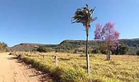 Taquarussu do Tocantins - Imagens da localidade de Taquarussu do Tocantins Distrito de Palmas - TO