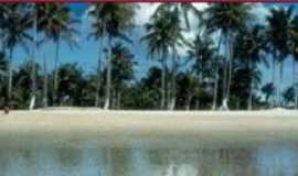 Outros servios em SalvadorBARBahia Rent a Car em Salvador