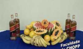 Outros servios em CarlpolisPRFaculdade do Chopp em Carlpolis