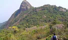Outros servios em So PauloSPEcoturismo Brasil em So Paulo