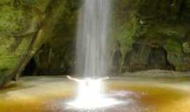 Outros servios em ManausAMExperincia Amaznica em Manaus