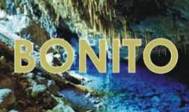 Outros servios em BonitoMSJUBAIA TUR Agncia de Turismo e Viagens em Bonito