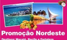 MS Tour Agencia de Viagens & Turismo Ltda 