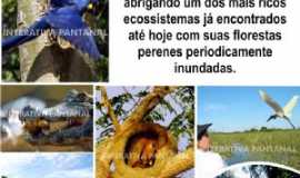 INTERATIVA AGENCIA DE VIAGENS, TRANSPORTES E RECEPTIVO 