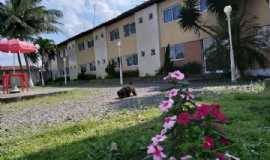 Hotel Fazenda Novo Paraso e Pousada