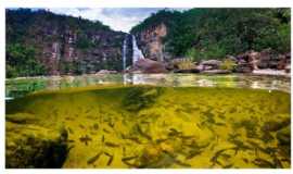 Outros servios em UruauGOReceptivo Turistico Paralelo 14 em Uruau