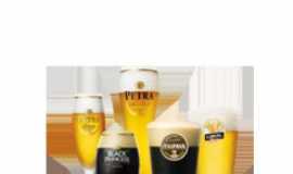 Outros servios em GoiniaGOPonto Beer - Chopp Delivery Itaipava em Goinia