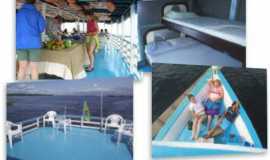 Outros servios em ManausAMApui   Amazon  Tours em Manaus