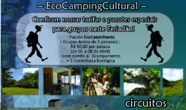 Caminhante das estrelas - Camping