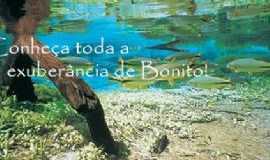 Outros servios em BonitoMSAgencia taica bonito MS em Bonito