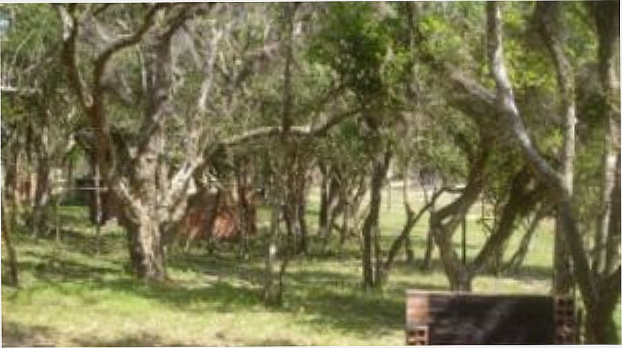 Camping Reservas das Tarumãs Telefone Barra do Ribeiro Férias