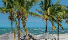 Hotis em FortimCEVILA SELVAGEM HOTEL COMTEMPORNEO em Fortim