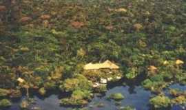 Hotis em Rio Preto da EvaAMAMAZON VILLAGE JUNGLE LODGE em Rio Preto da Eva