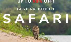 Pousada Jaguar Ecological Reserve