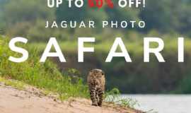 Pousadas em PoconMTPousada Jaguar Ecological Reserve em Pocon