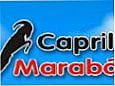capril maraba