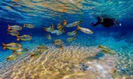 Outros servios em JardimMSRecanto Ecolgico Rio da Prata em Jardim