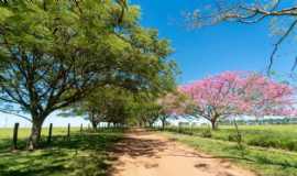 Hotis em AltinpolisSPHOTEL FAZENDA VALE DAS GRUTAS em Altinpolis