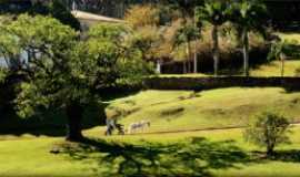 HOTEL E POUSADA FAZENDA DONA CAROLINA