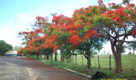 Pousadas em ParanaiguaraGOHotel Savanas Pousada em Paranaiguara