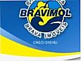 BRAVIMOL-BRAVA IMVEIS LTDA