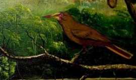 Oropendola   Tours 