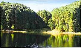 Pousadas em So Bento do SapucaSPPousada Ecoparque Pesca na Montanha em So Bento do Sapuca
