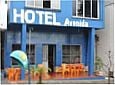 Hotel Avenida