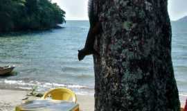 Pousadas em ParatyRJPOUSADA REFRON DU MAR em Paraty