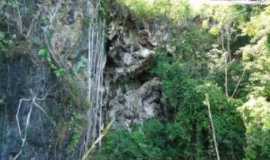 Outros servios em MinauGOPortal de Minau - Gois em Minau