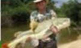 Outros servios em Formoso do AraguaiaTOIlha do Bananal Tur  em Formoso do Araguaia