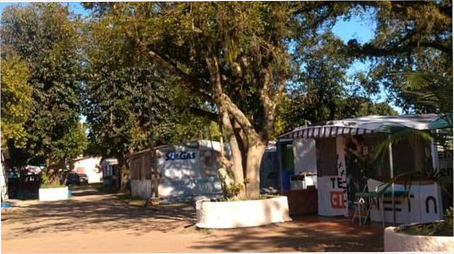 Camping da Figueira Telefone Barra do Ribeiro Férias