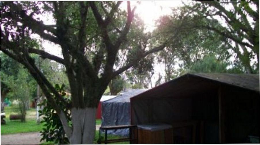 Camping da Figueira Telefone Barra do Ribeiro Férias