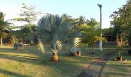 Camping Stio Nova Almeida