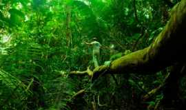 Outros servios em ManausAMAMAZONA TOURS em Manaus