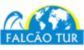 Outros servios em Rio de JaneiroRJFALCO TUR em Rio de Janeiro