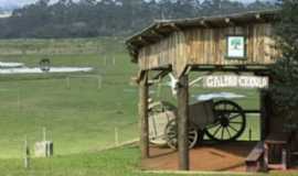 CAMPING GRANJA ARMADILHAS