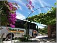 Tch� Leva Transporte e Turismo