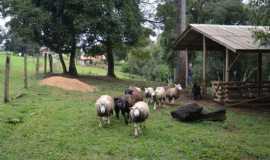 Pousada Rancho da Guaiaca