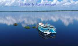 Outros servios em ManausAMLo Peixe ecoturismo fluvial na amazonia em Manaus
