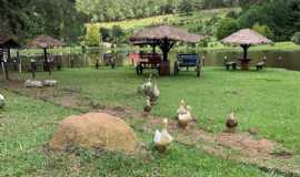 Hotis em Monte VerdeMGHotel Fazenda Floresta Negra em Monte Verde