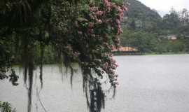 Pousadas em TerespolisRJPOUSADA OSIS TERESPOLIS em Terespolis