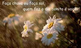 Outros servios em LimeiraSPChcara N. Sra. Aparecida em Limeira