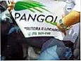 Pangola Aluguel de Carros