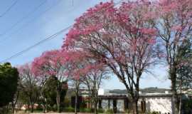 Pousadas em Nova PrataRSPousada dos Pinheirais  em Nova Prata