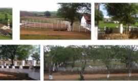 Outros servios em CarpinaPEFazenda Engenho Cordeiro em Carpina