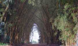 Pousadas em CajuruSPPOUSADA FAZENDA BURACO em Cajuru