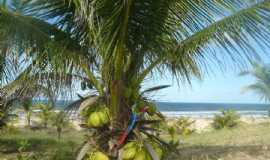 Pousada Pé N areia